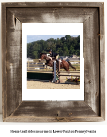 horse trail rides near me in Lower Paxton, Pennsylvania